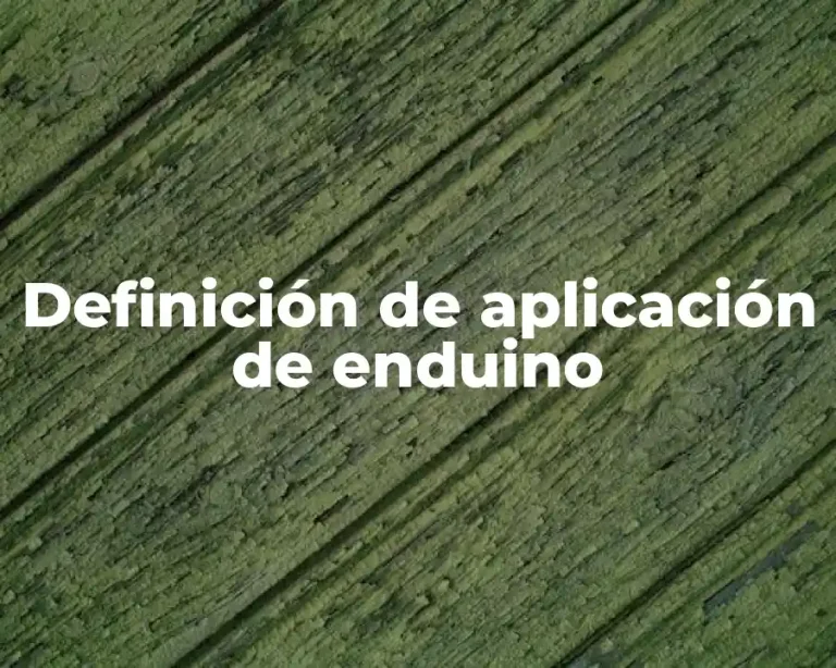 Definición de aplicación de enduino