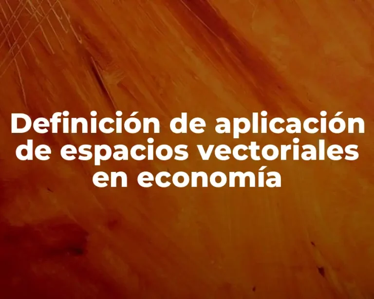 Definición de aplicación de espacios vectoriales en economía