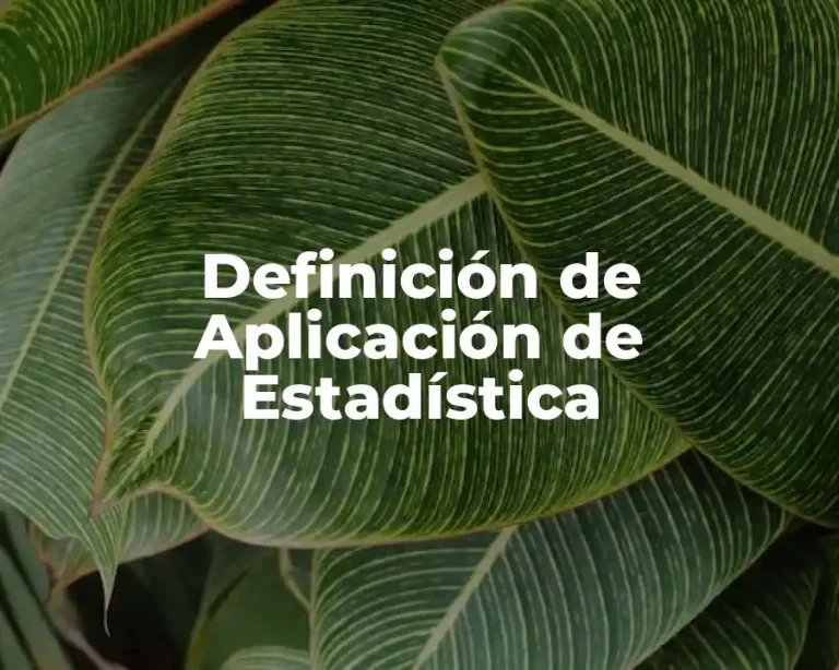 Definición de Aplicación de Estadística