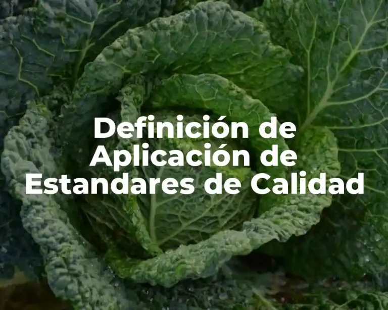 Definición de Aplicación de Estandares de Calidad