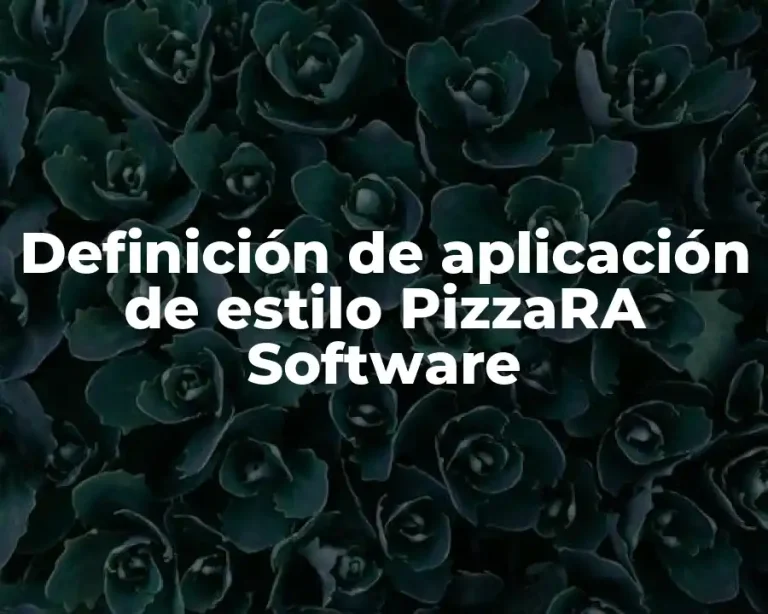 Definición de aplicación de estilo PizzaRA Software