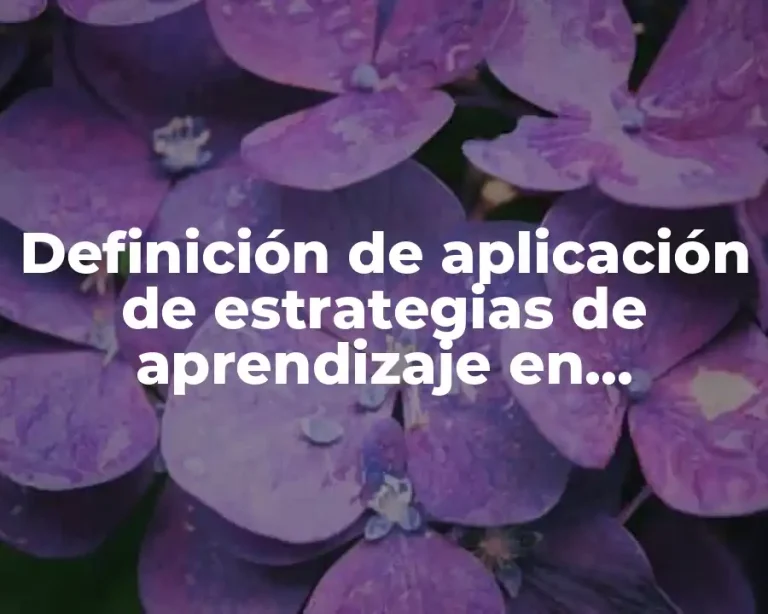 Definición de aplicación de estrategias de aprendizaje en matemáticas