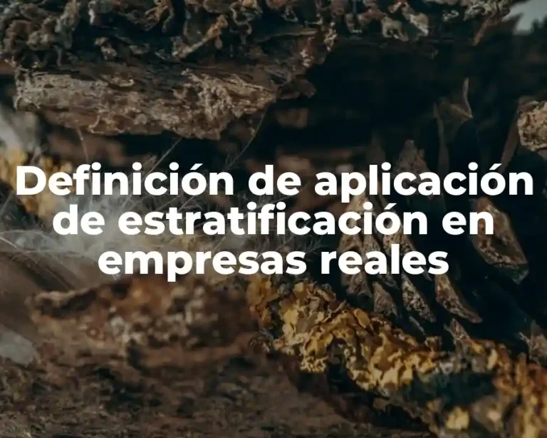 Definición de aplicación de estratificación en empresas reales