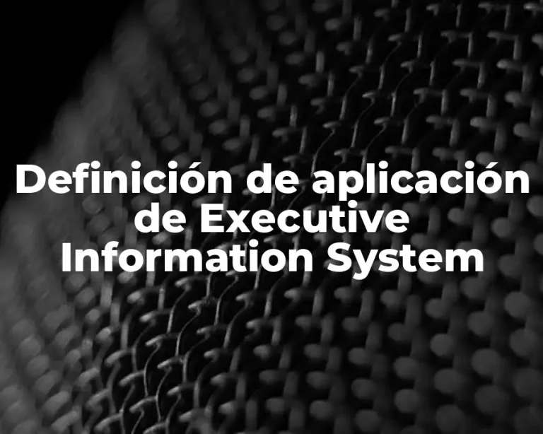 Definición de aplicación de Executive Information System