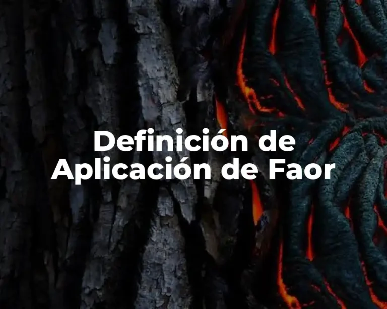 Definición de Aplicación de Faor