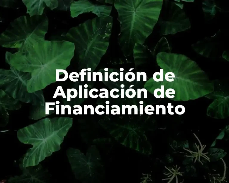 Definición de Aplicación de Financiamiento