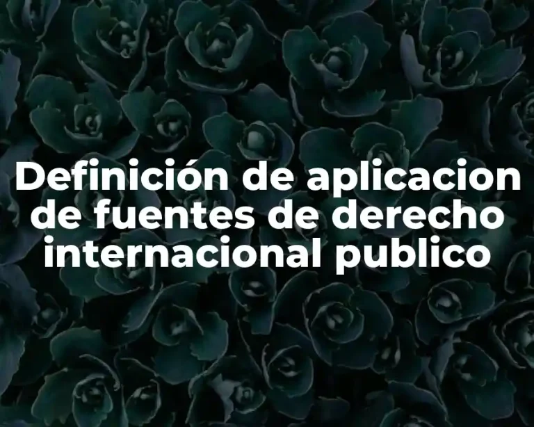 Definición de aplicacion de fuentes de derecho internacional publico