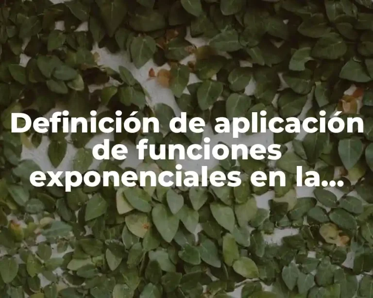 Definición de aplicación de funciones exponenciales en la vida cotidiana