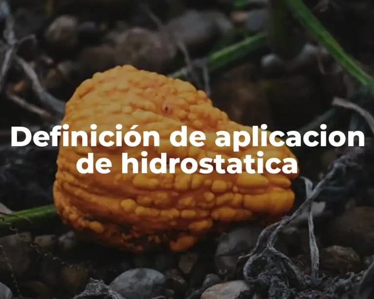 Definición de aplicacion de hidrostatica
