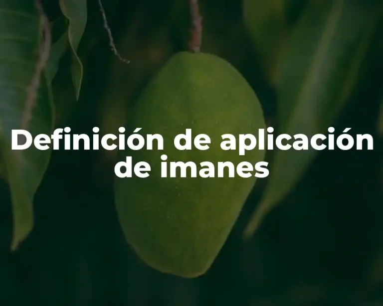 Definición de aplicación de imanes
