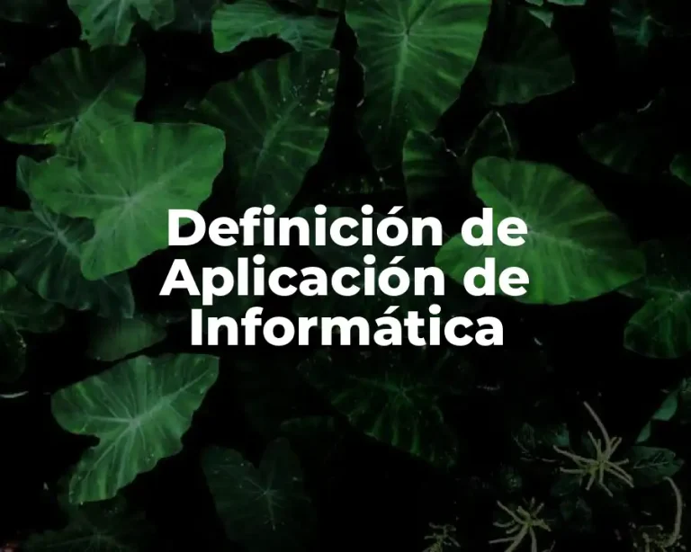 Definición de Aplicación de Informática