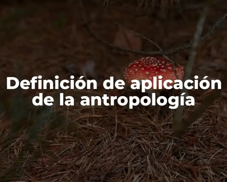 Definición de aplicación de la antropología