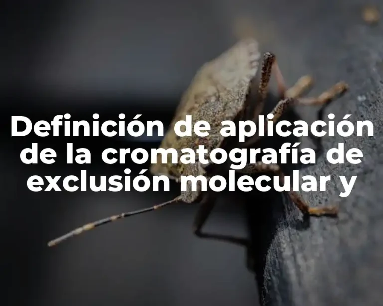 Definición de aplicación de la cromatografía de exclusión molecular y