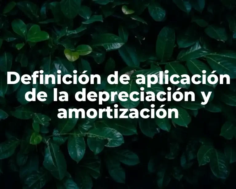Definición de aplicación de la depreciación y amortización