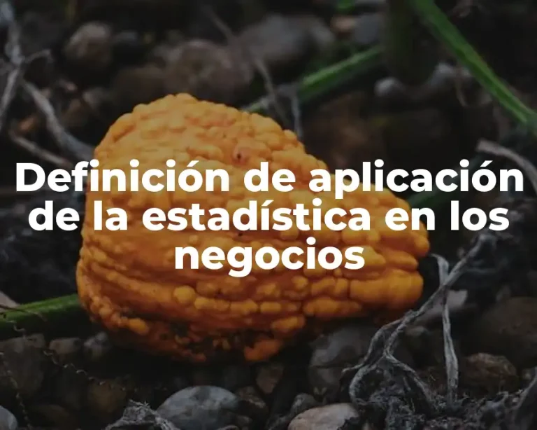 Definición de aplicación de la estadística en los negocios
