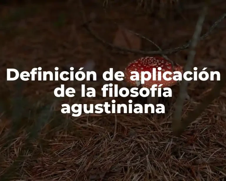 Definición de aplicación de la filosofía agustiniana