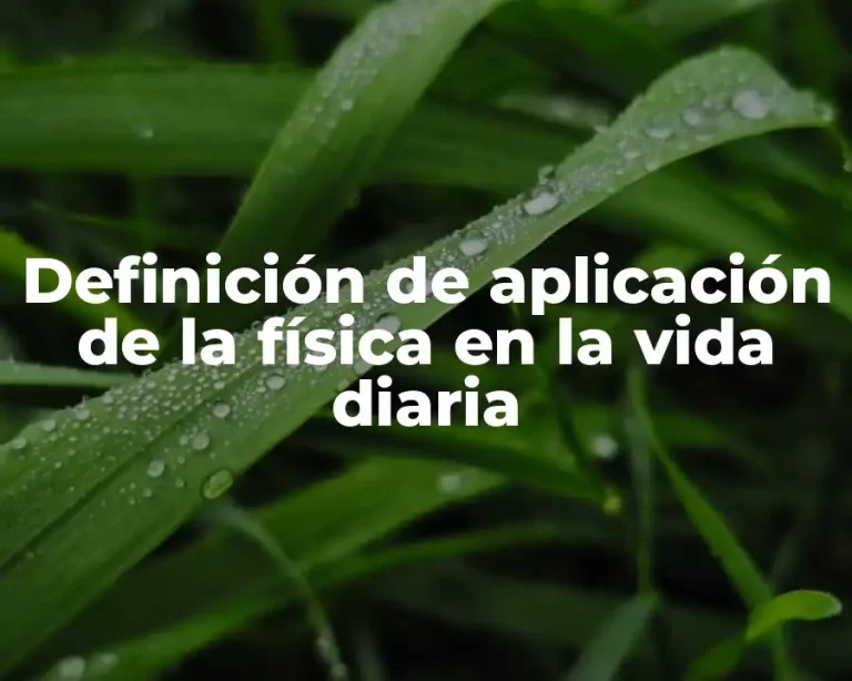 Definición de aplicación de la física en la vida diaria