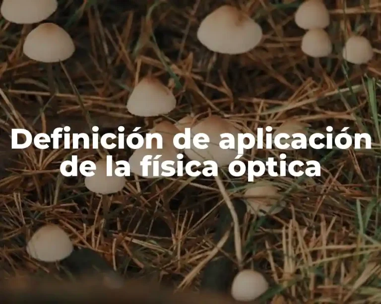 Definición de aplicación de la física óptica