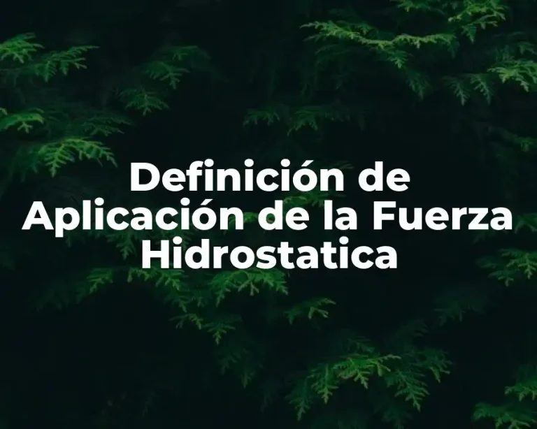Definición de Aplicación de la Fuerza Hidrostatica