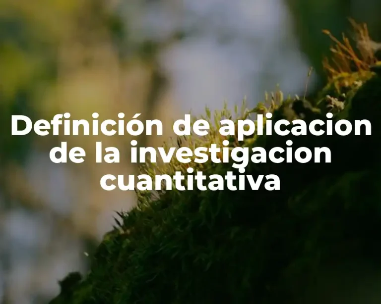 Definición de aplicacion de la investigacion cuantitativa