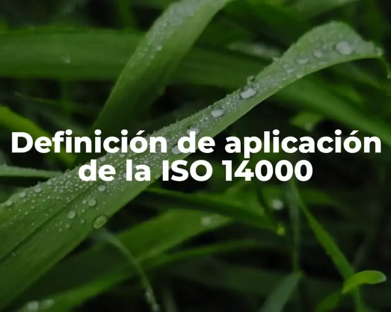 Definición de aplicación de la ISO 14000