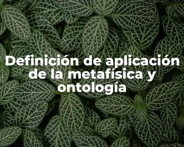 Definición de aplicación de la metafísica y ontología