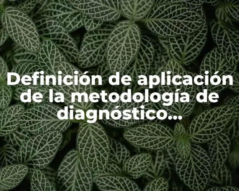 Definición de aplicación de la metodología de diagnóstico organizacional