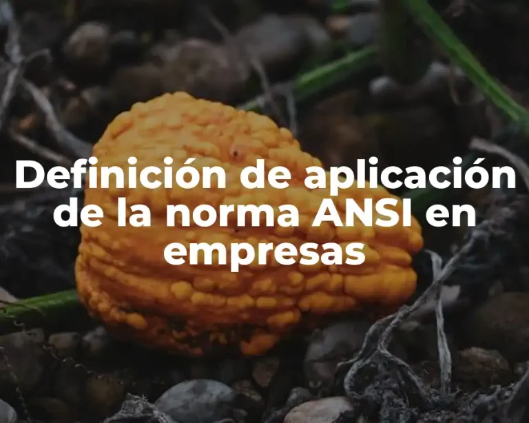 Definición de aplicación de la norma ANSI en empresas
