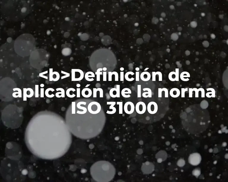 <b>Definición de aplicación de la norma ISO 31000