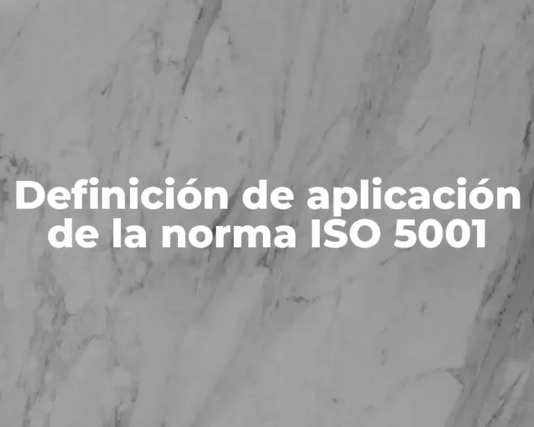 Definición de aplicación de la norma ISO 5001