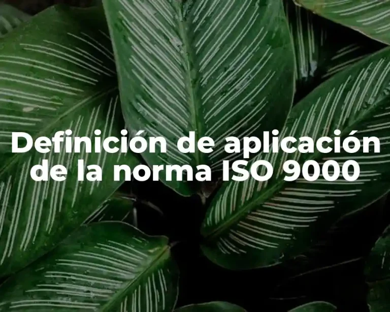 Definición de aplicación de la norma ISO 9000