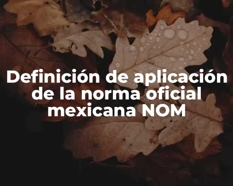 Definición de aplicación de la norma oficial mexicana NOM