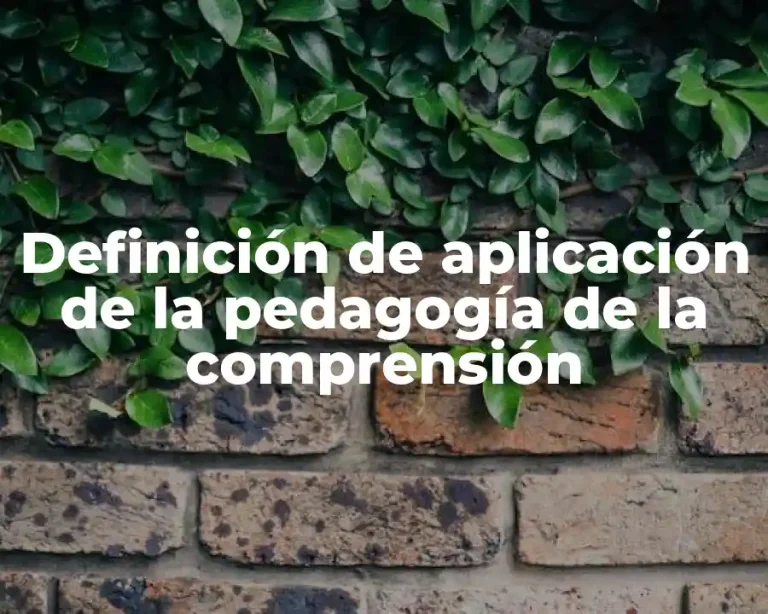 Definición de aplicación de la pedagogía de la comprensión
