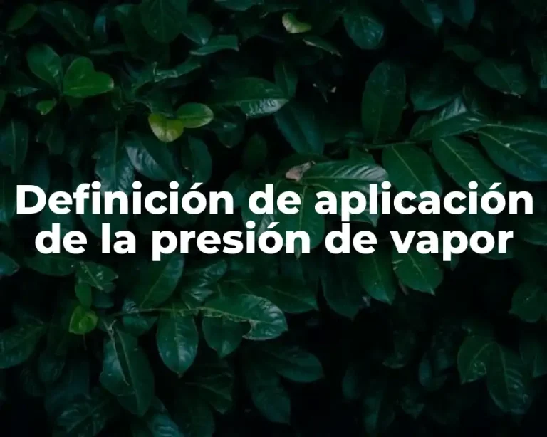 Definición de aplicación de la presión de vapor