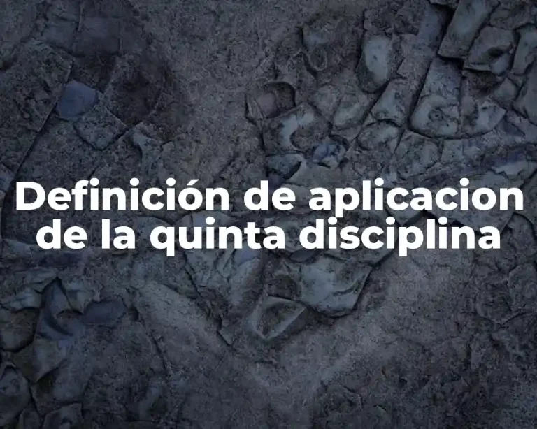Definición de aplicacion de la quinta disciplina
