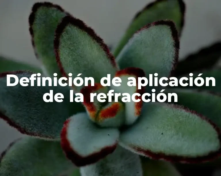 Definición de aplicación de la refracción