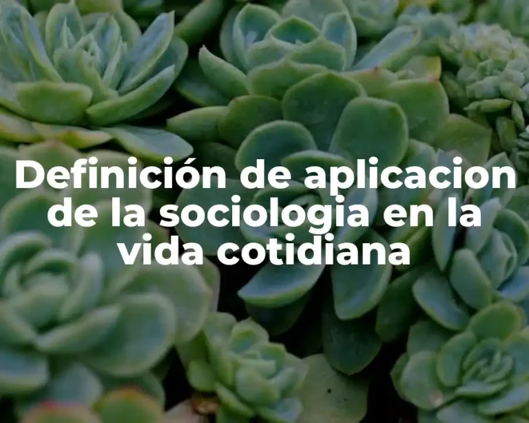 Definición de aplicacion de la sociologia en la vida cotidiana