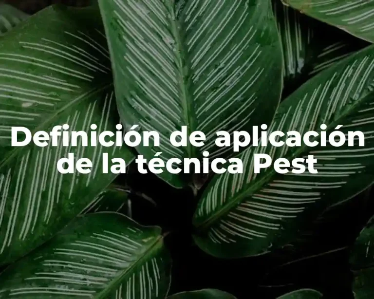 Definición de aplicación de la técnica Pest
