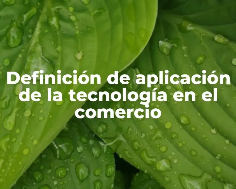 Definición de aplicación de la tecnología en el comercio