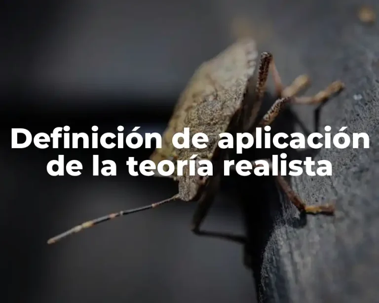 Definición de aplicación de la teoría realista