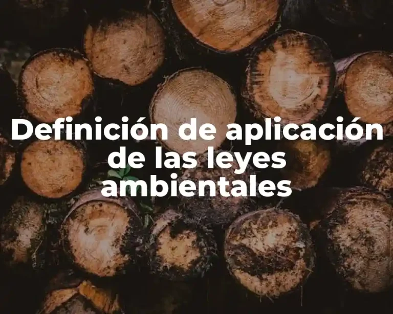 Definición de aplicación de las leyes ambientales