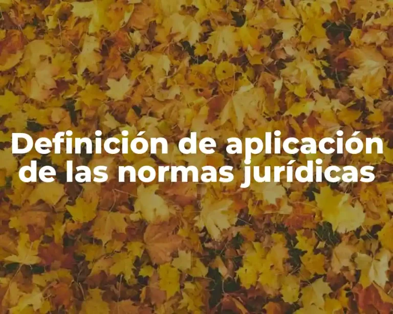 Definición de aplicación de las normas jurídicas