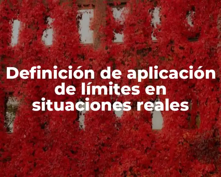 Definición de aplicación de límites en situaciones reales