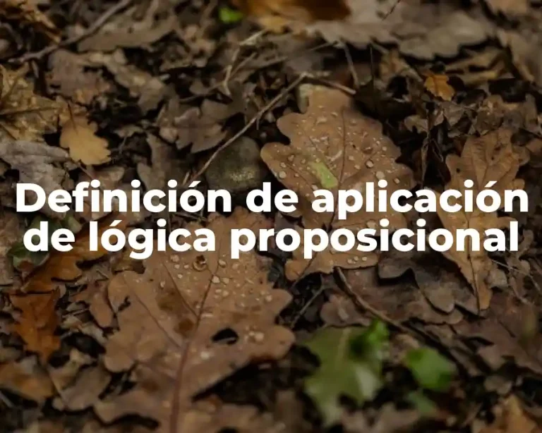 Definición de aplicación de lógica proposicional