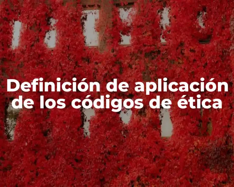 Definición de aplicación de los códigos de ética