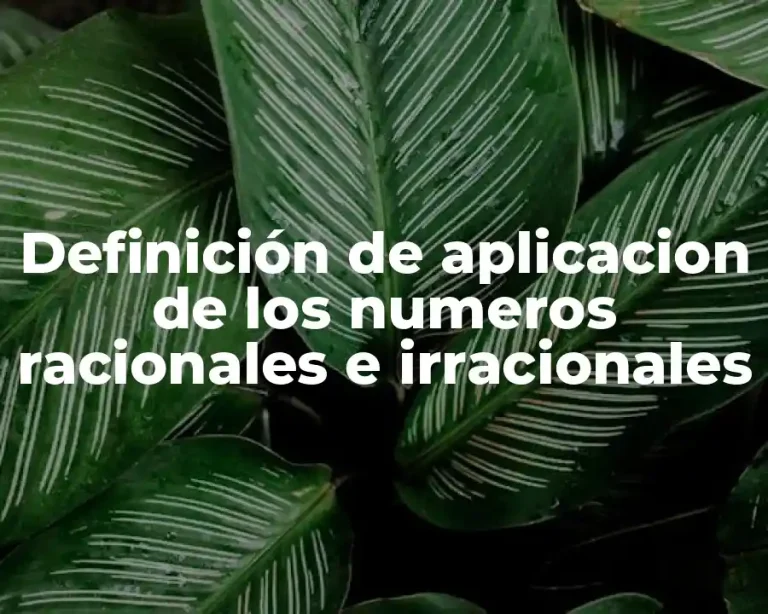 Definición de aplicacion de los numeros racionales e irracionales