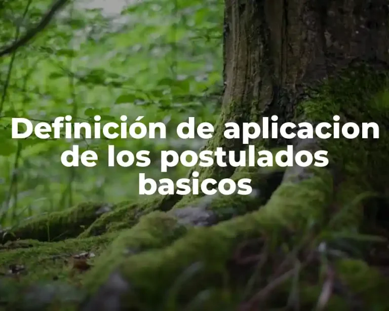 Definición de aplicacion de los postulados basicos