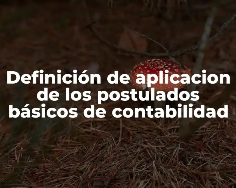 Definición de aplicacion de los postulados básicos de contabilidad