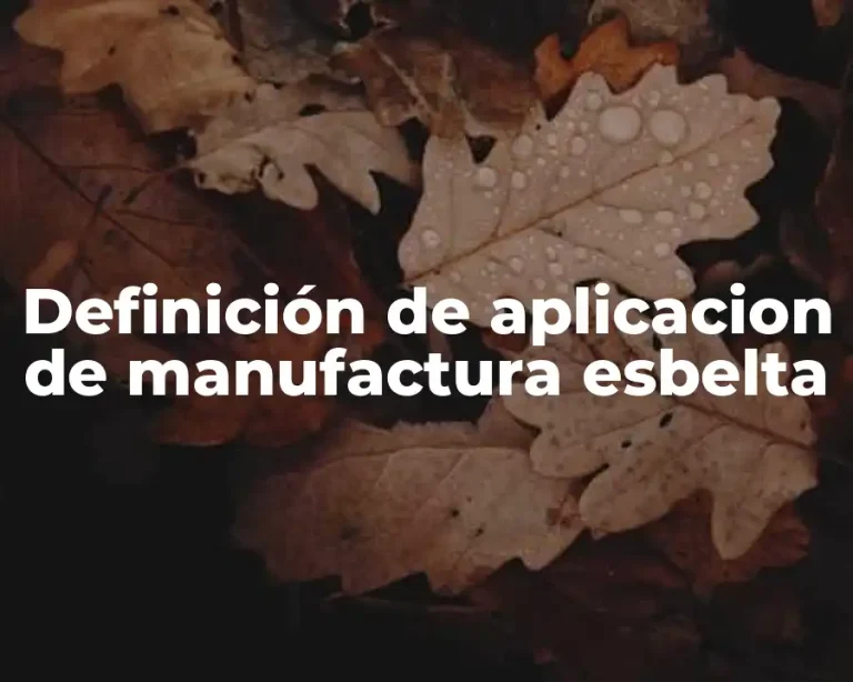 Definición de aplicacion de manufactura esbelta