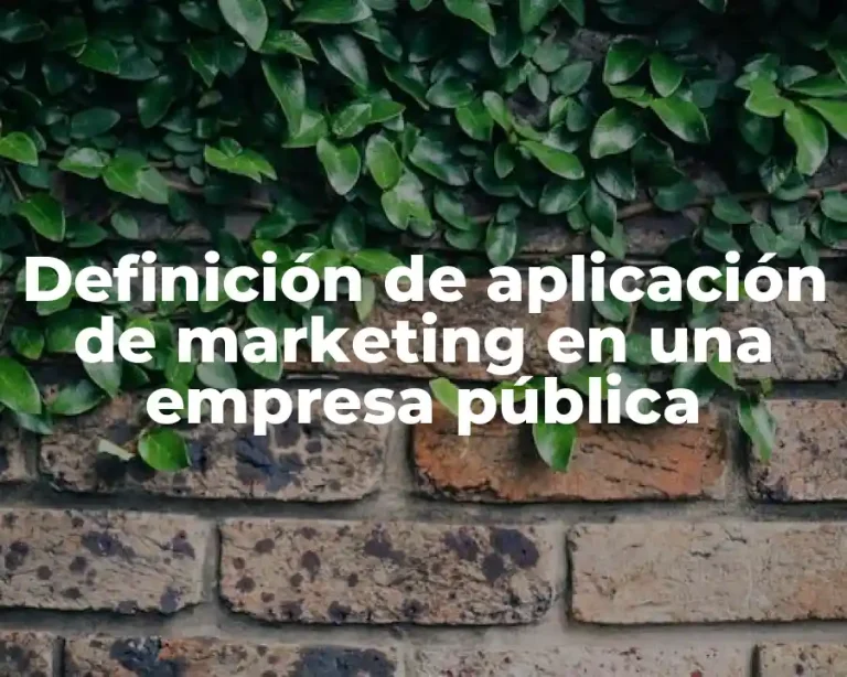Definición de aplicación de marketing en una empresa pública